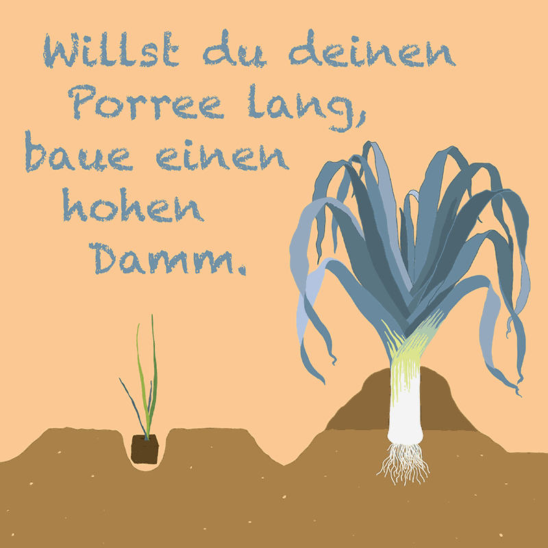 Porree Zitat