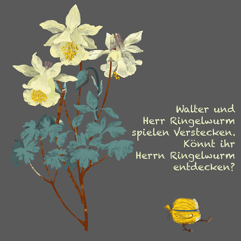 Regenwurm spielt Verstecken