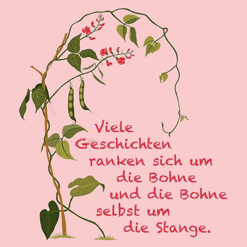 Stangenbohne Zitat