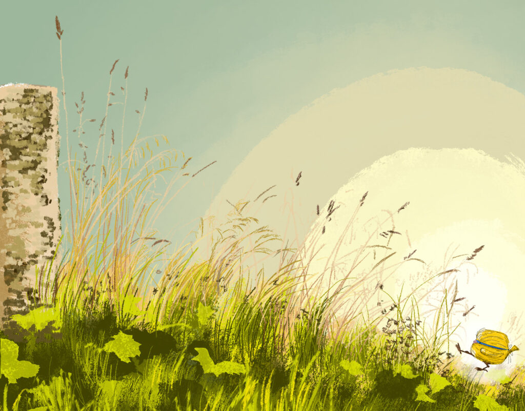 Aktuelles Bild: Wiesen-Illustration